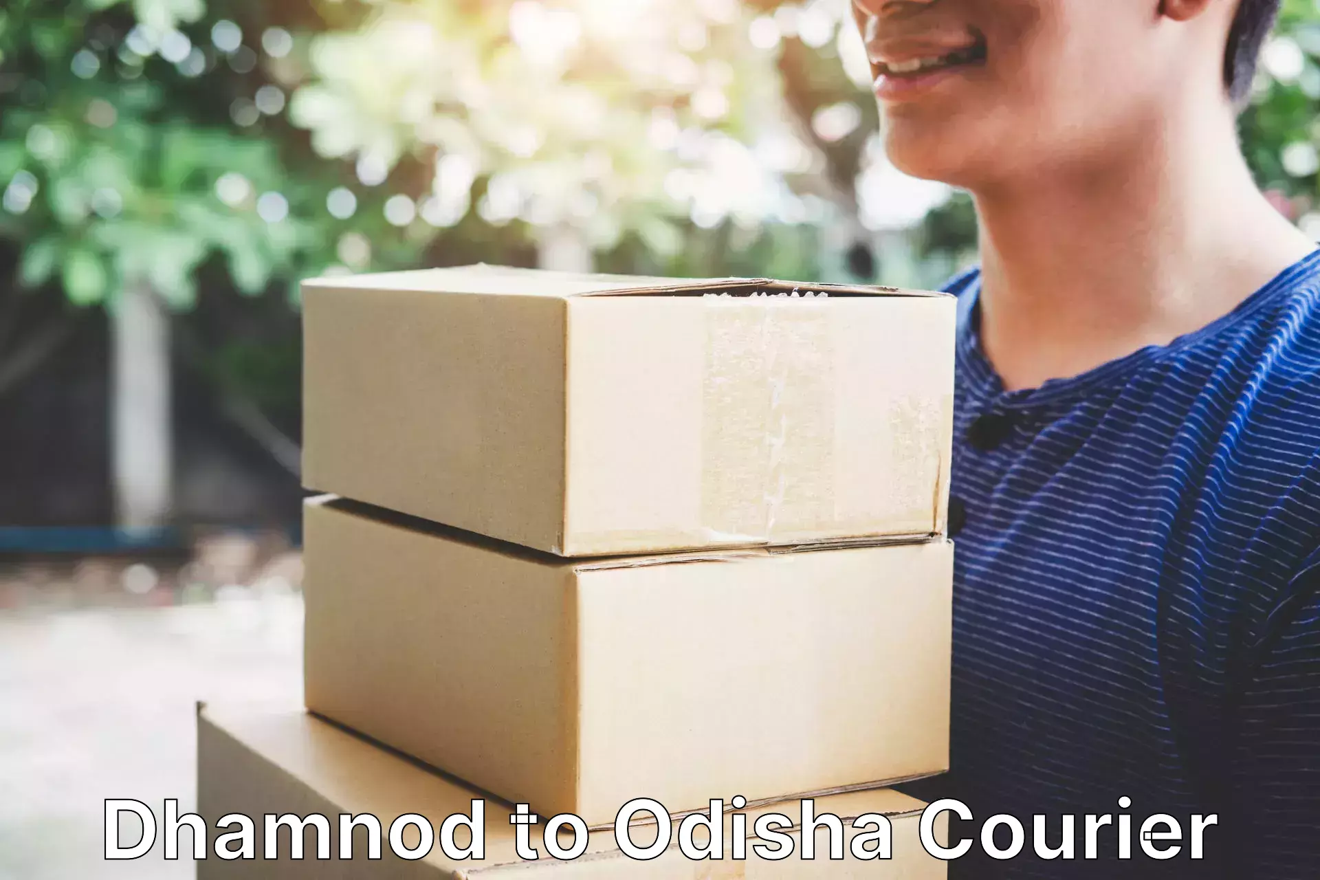 Track and trace shipping Dhamnod to Odisha