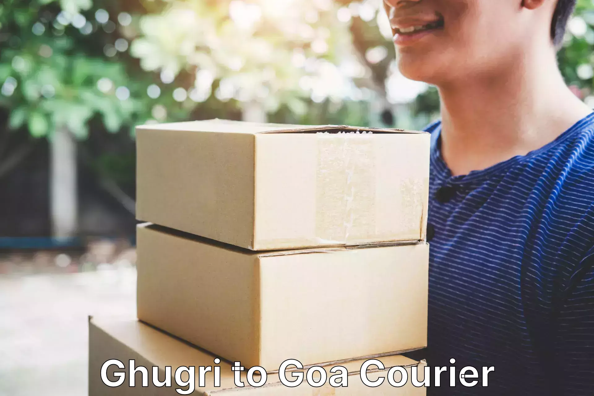 Next-generation courier services Ghugri to Goa University