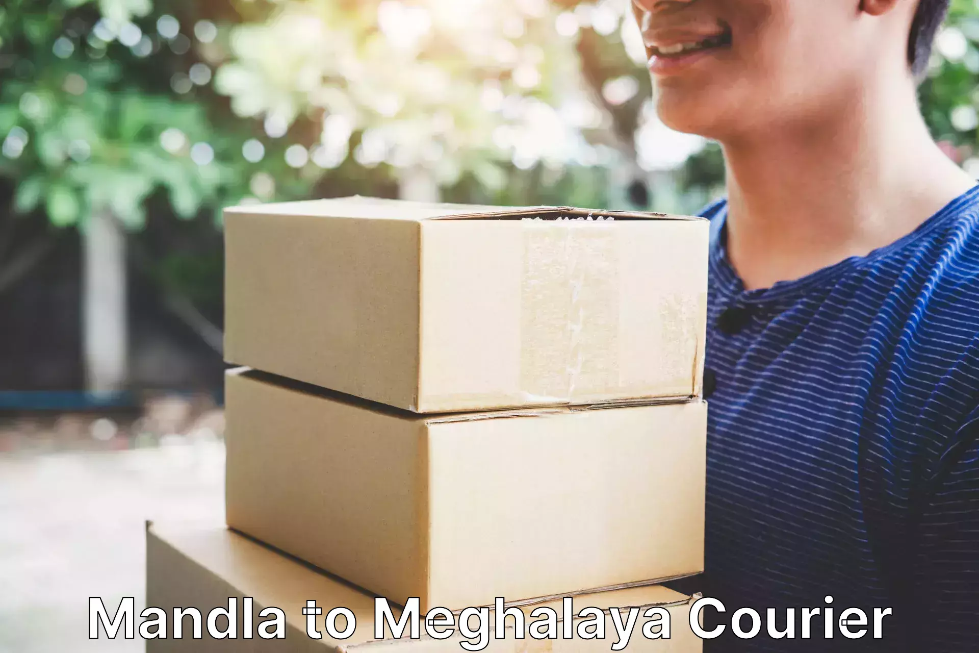 Expedited shipping methods Mandla to Meghalaya