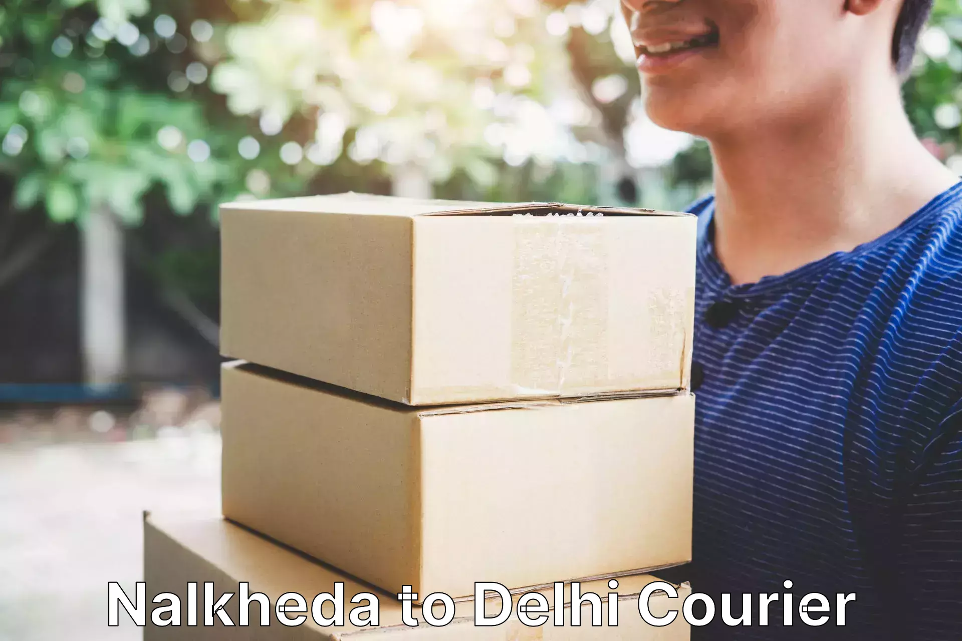 International parcel service Nalkheda to NCR