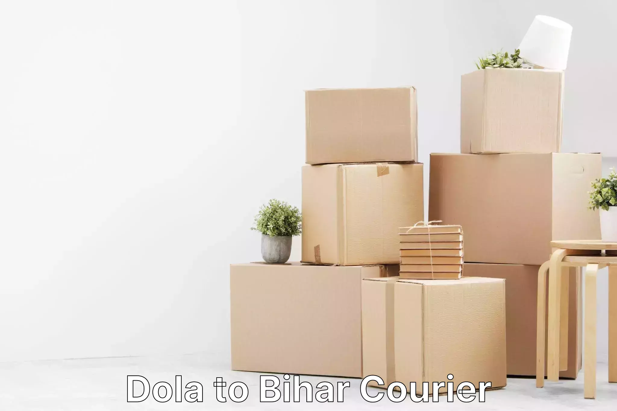 Efficient parcel service Dola to Raxaul