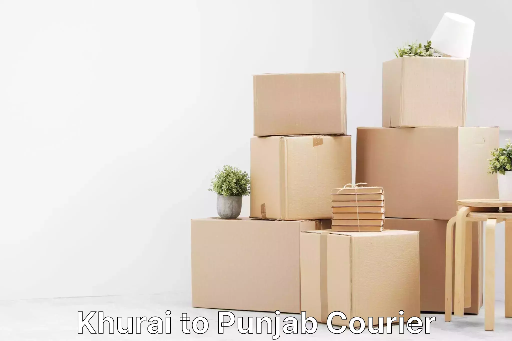 Package delivery network Khurai to Punjab