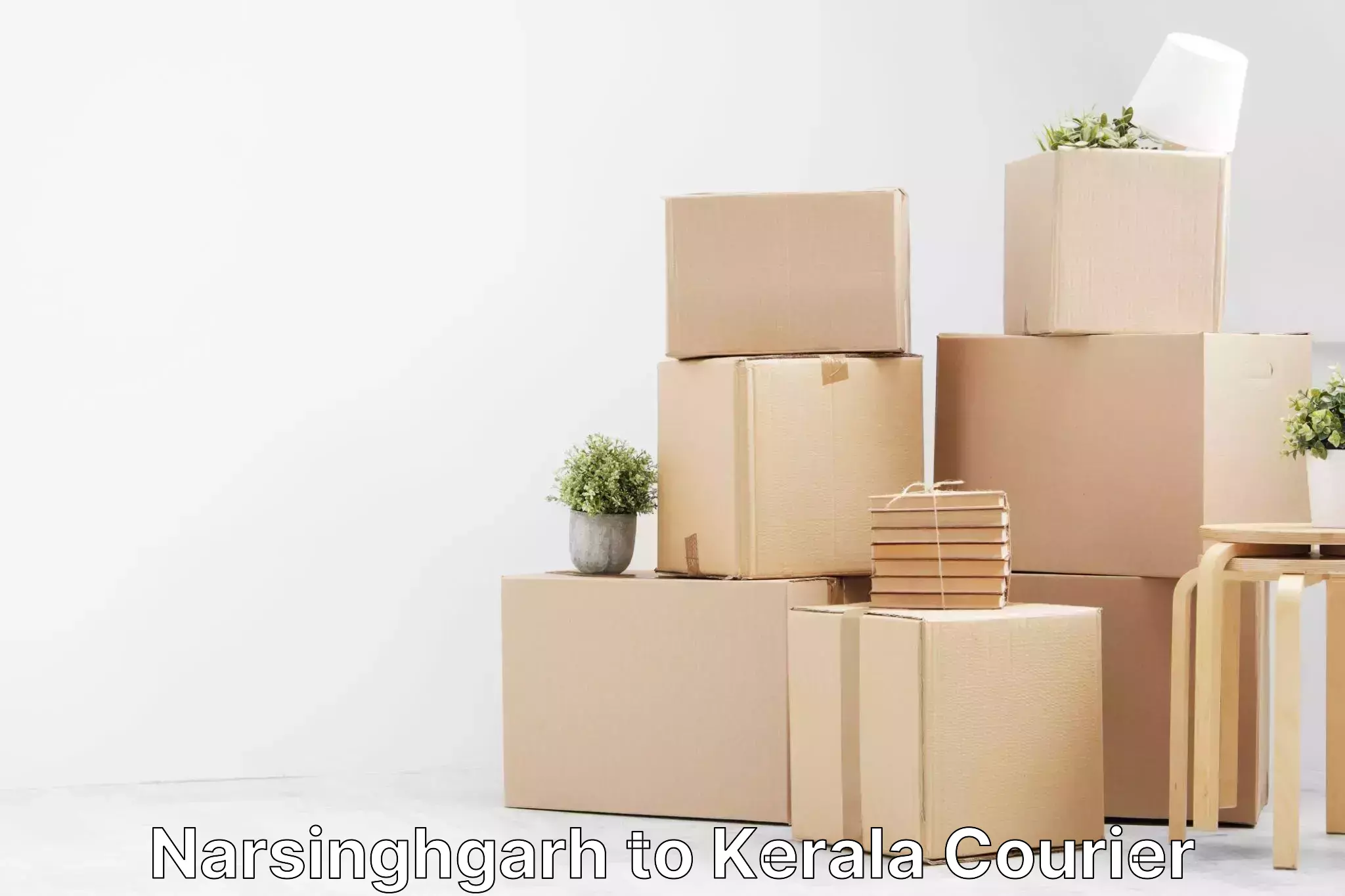 Dynamic parcel delivery Narsinghgarh to Kerala