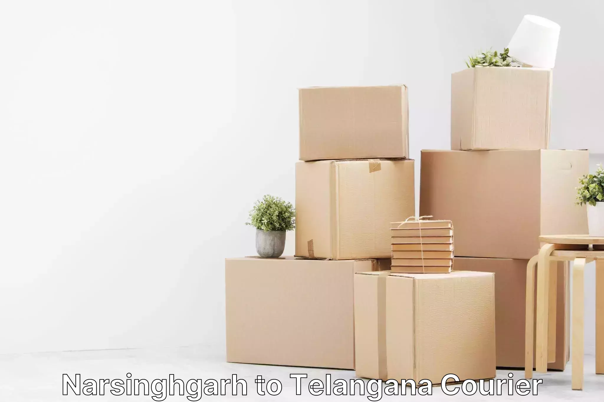 Simplified shipping solutions Narsinghgarh to Telangana