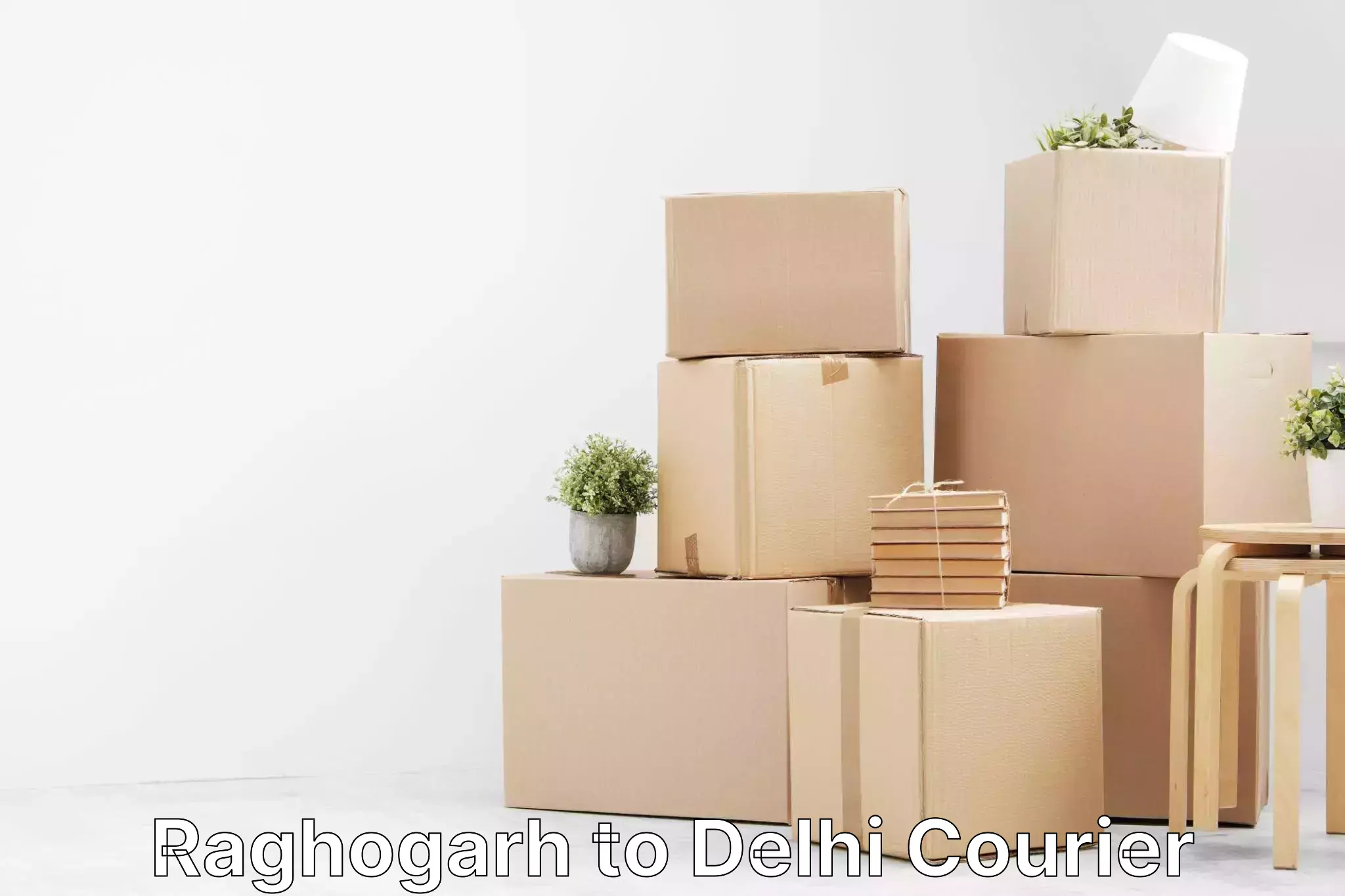 Custom shipping services Raghogarh to Delhi