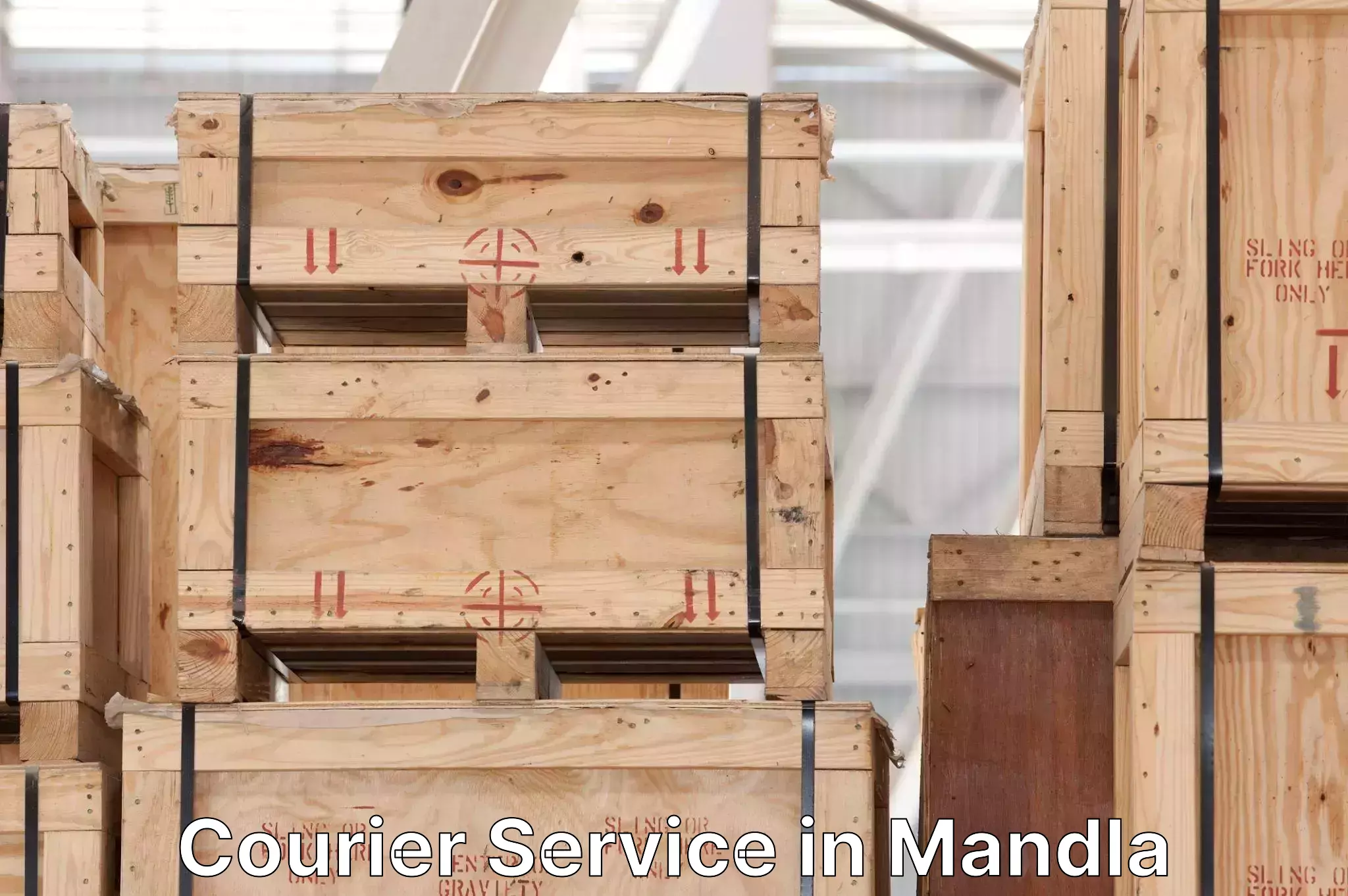 Seamless shipping service in Mandla