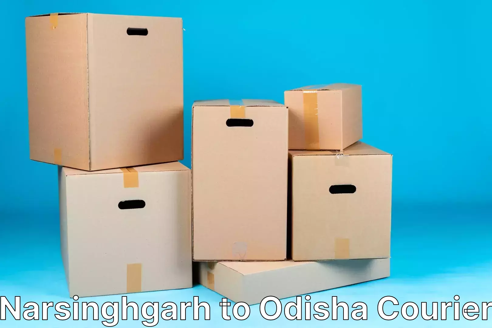 Nationwide shipping coverage Narsinghgarh to Odisha