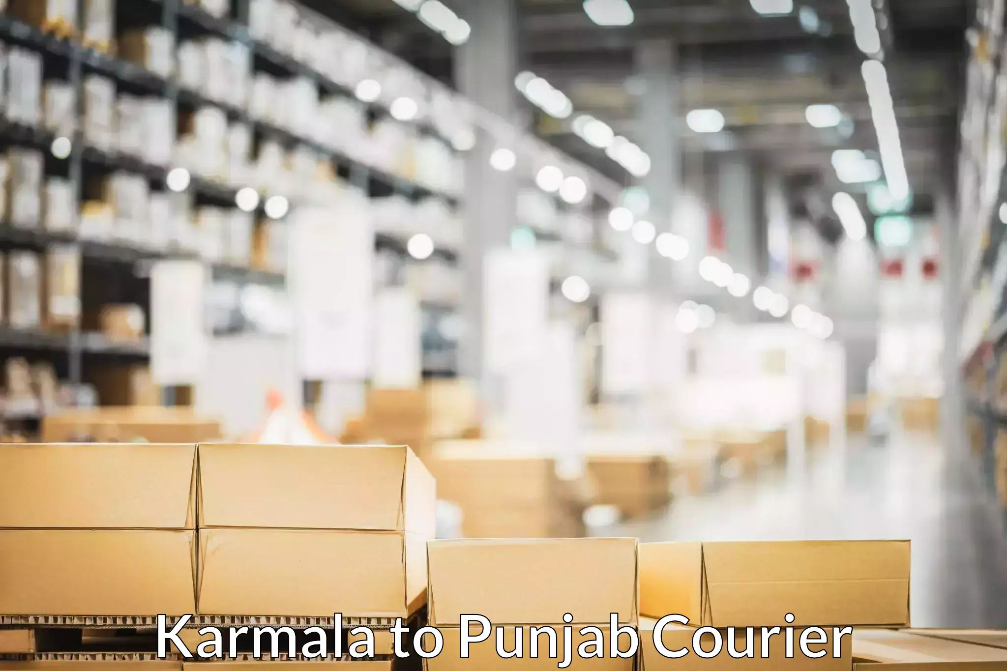 Furniture moving experts in Karmala to Punjab