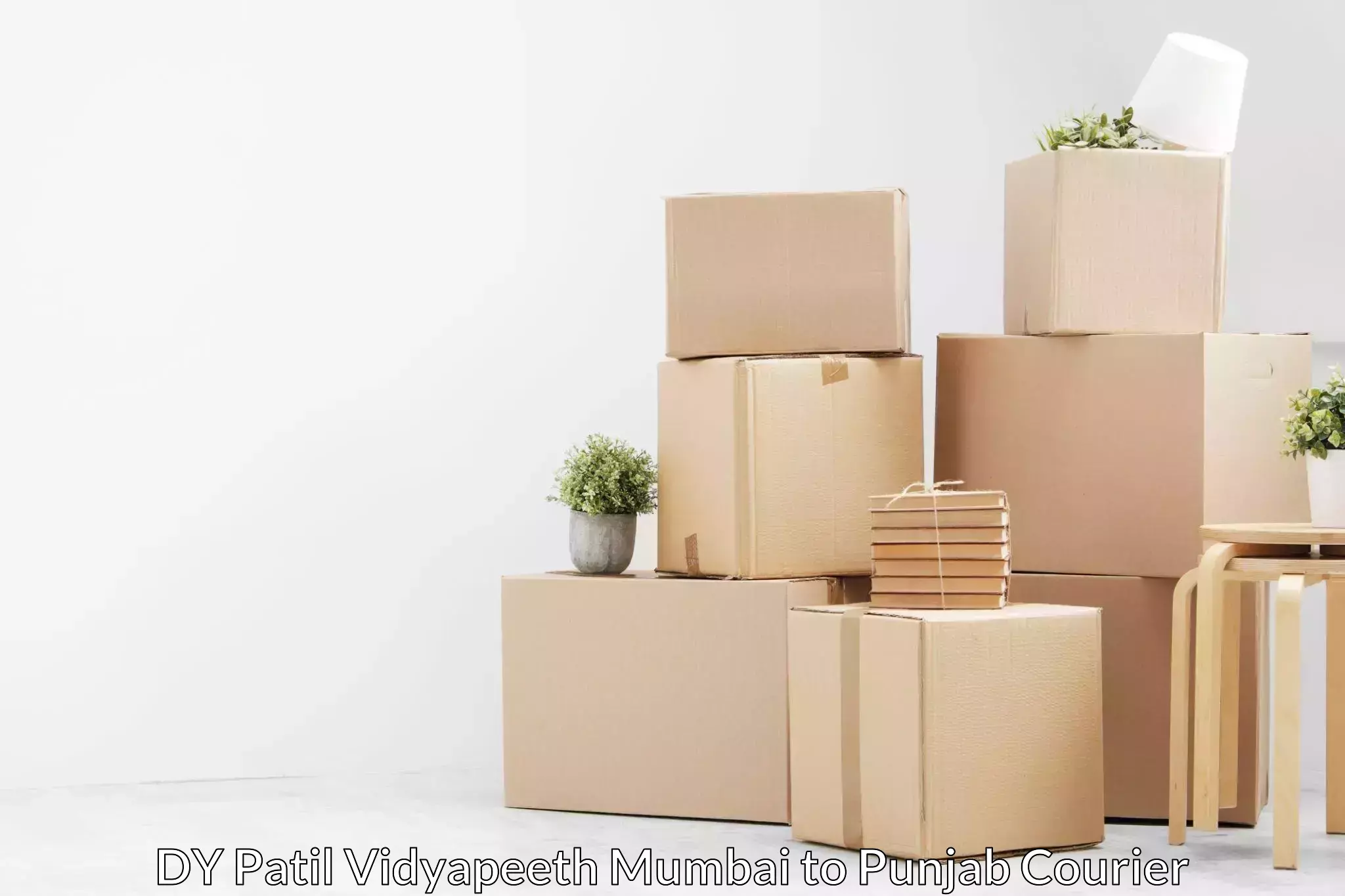 Household moving and storage DY Patil Vidyapeeth Mumbai to NIT Jallandhar