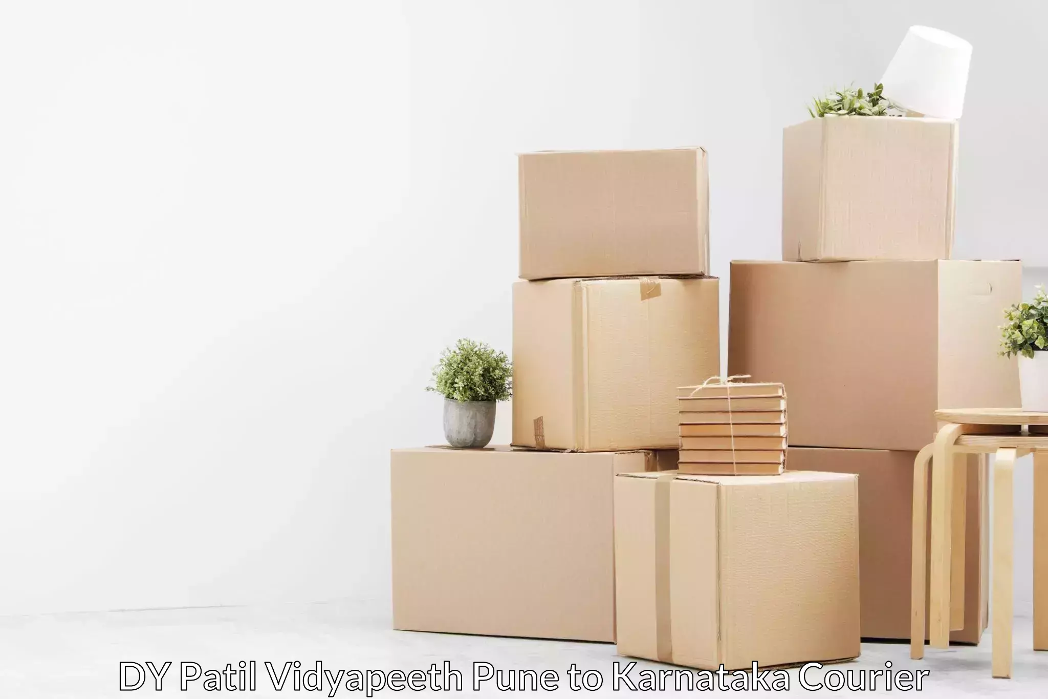 Home goods moving company DY Patil Vidyapeeth Pune to Karnataka