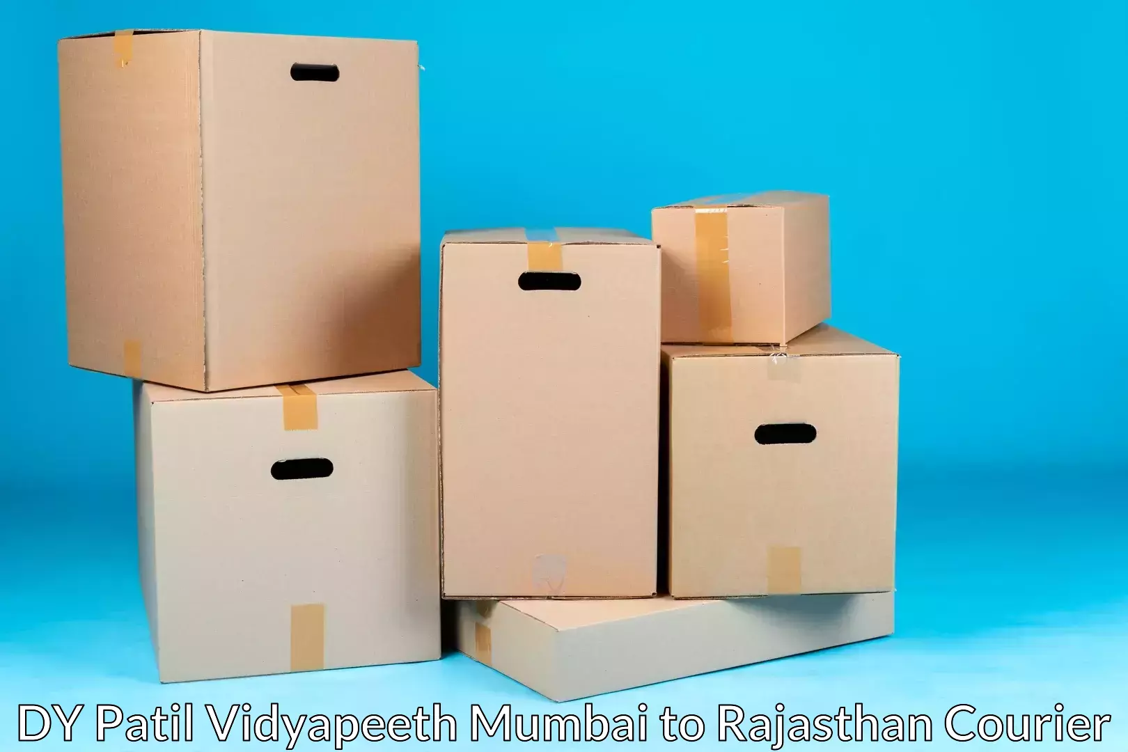 Professional home relocation DY Patil Vidyapeeth Mumbai to Bhadra Hanumangarh