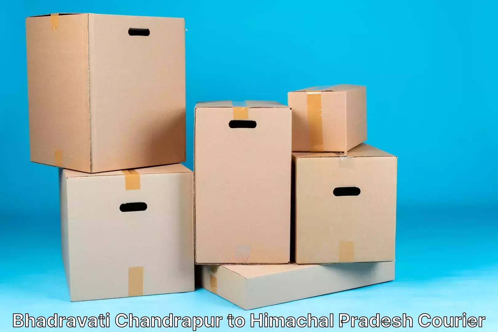 Baggage courier pricing Bhadravati Chandrapur to Una Himachal Pradesh