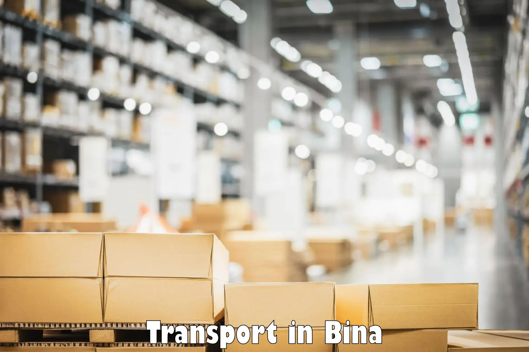 Nearest transport service in Bina