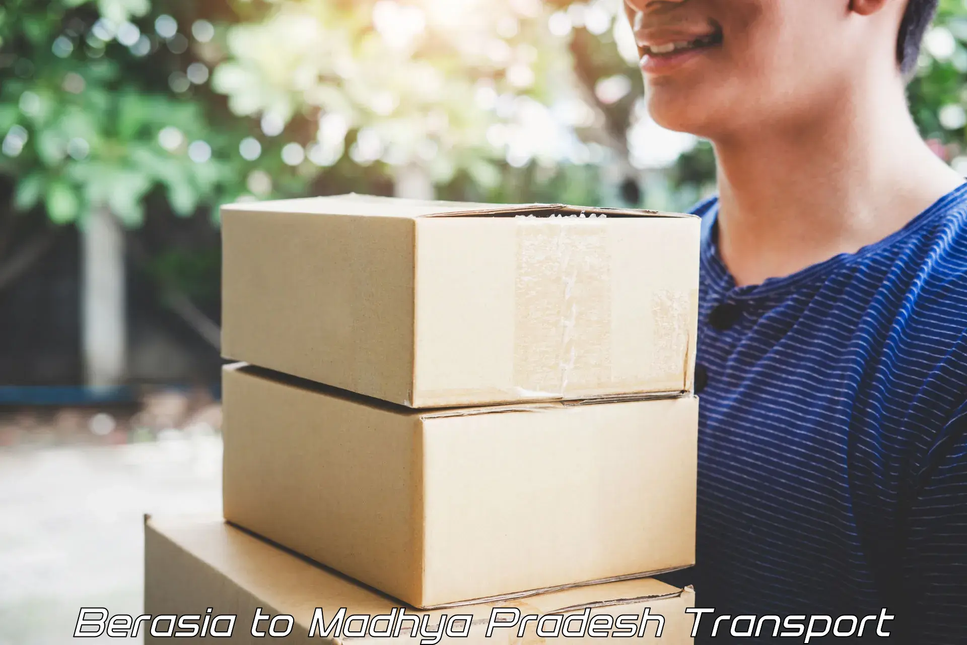 Package delivery services Berasia to Pachore