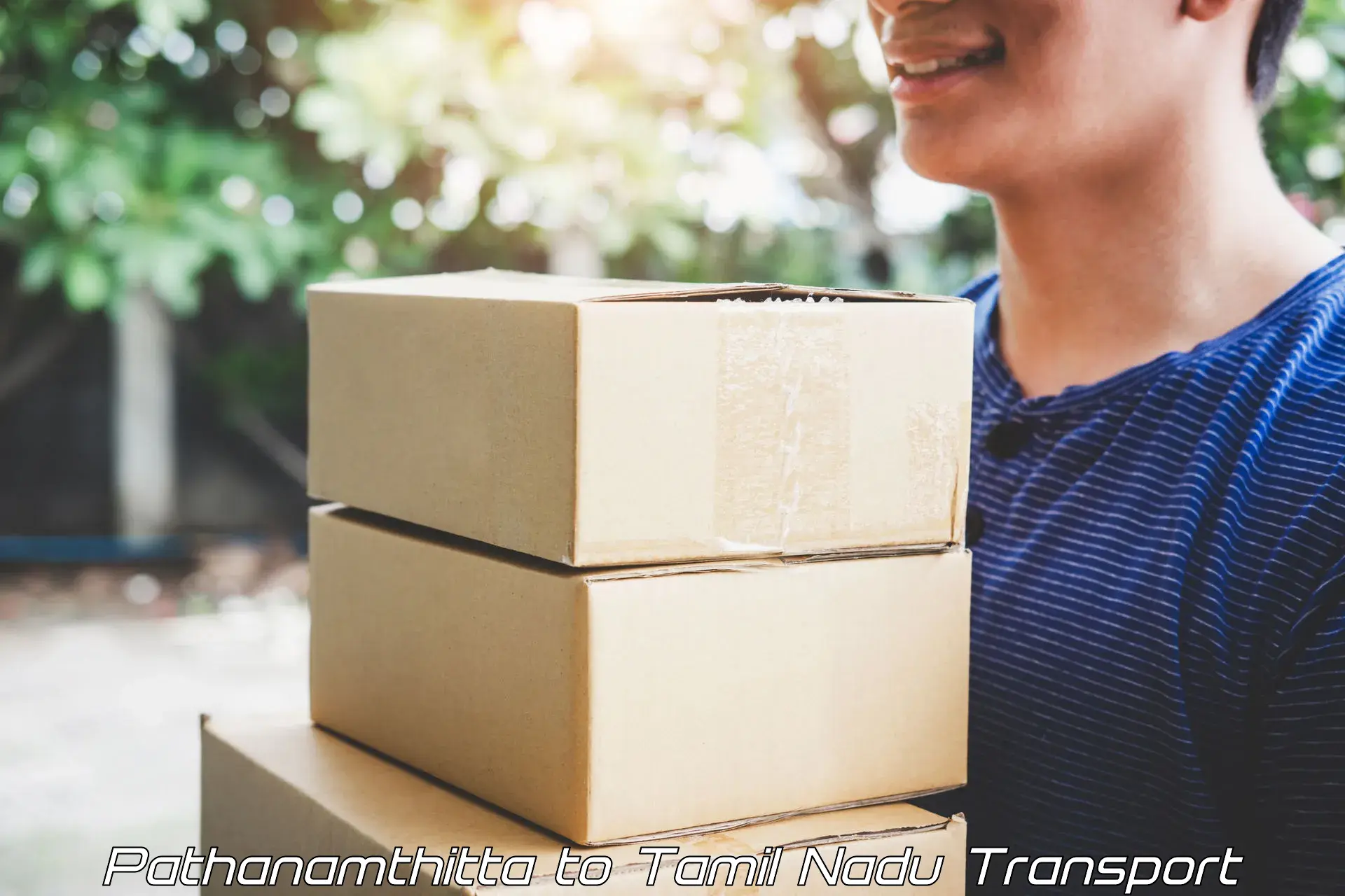Package delivery services Pathanamthitta to Tenkasi