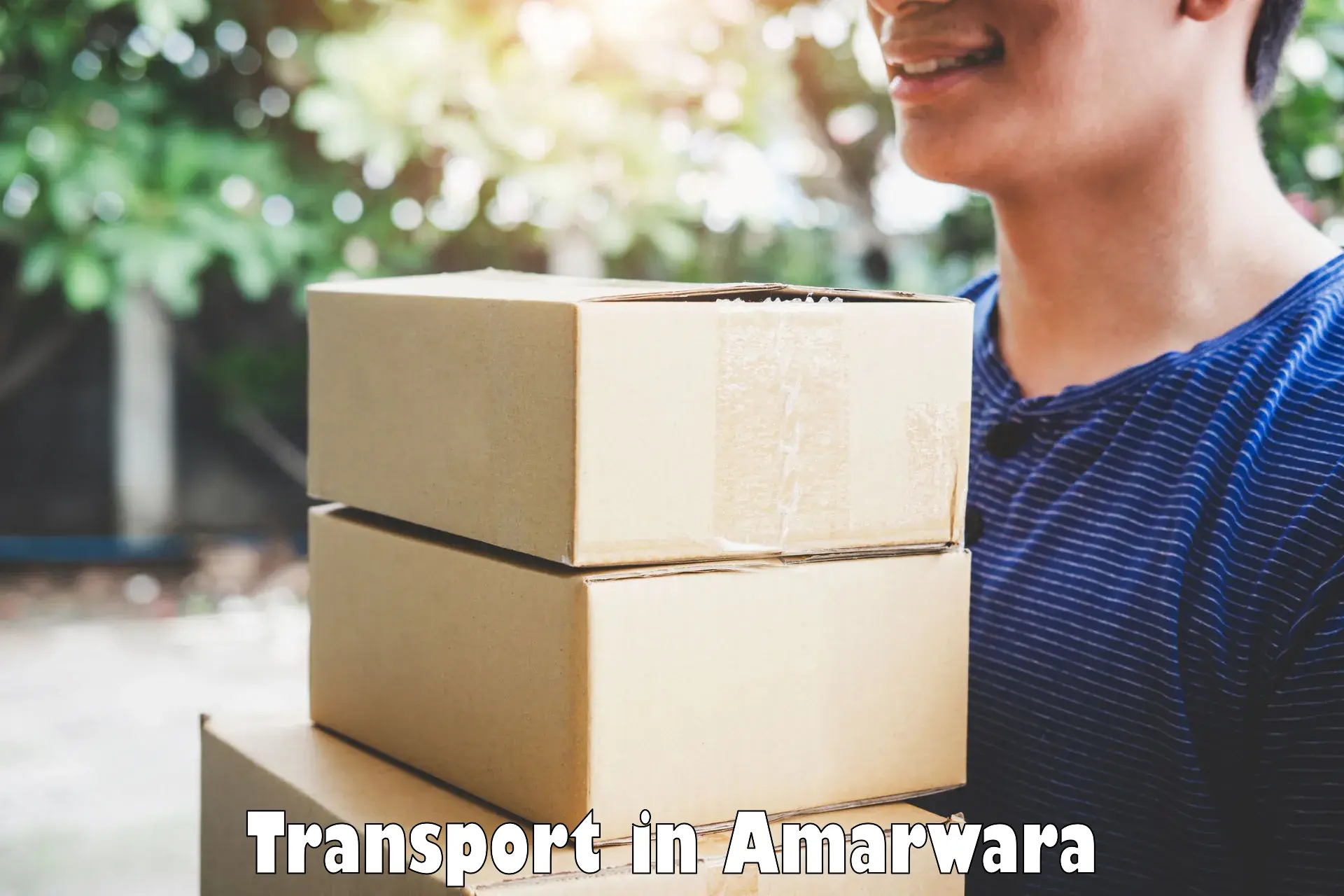 Online transport booking in Amarwara