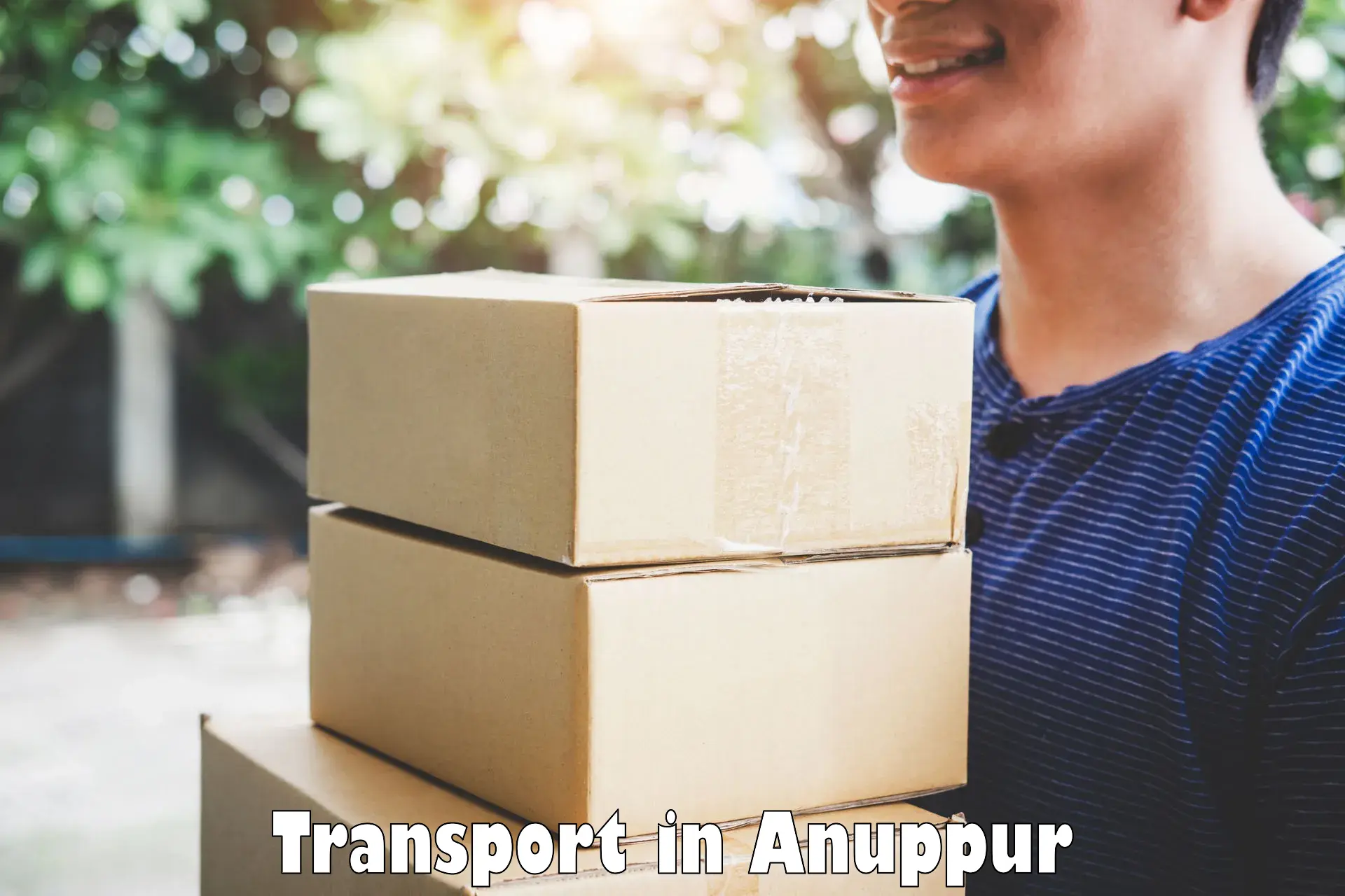 International cargo transportation services in Anuppur