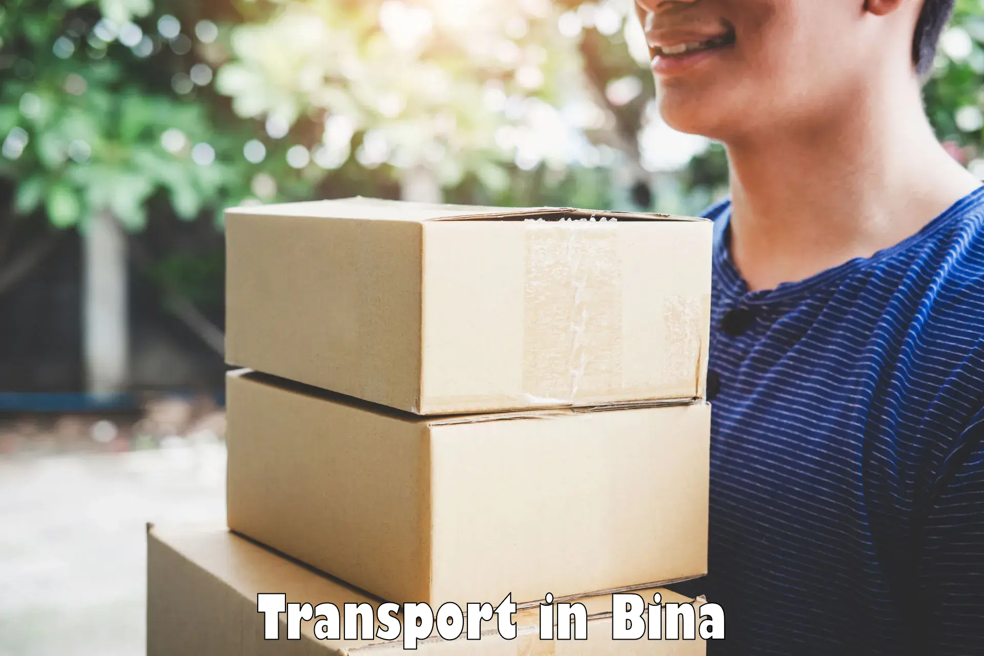 Land transport services in Bina