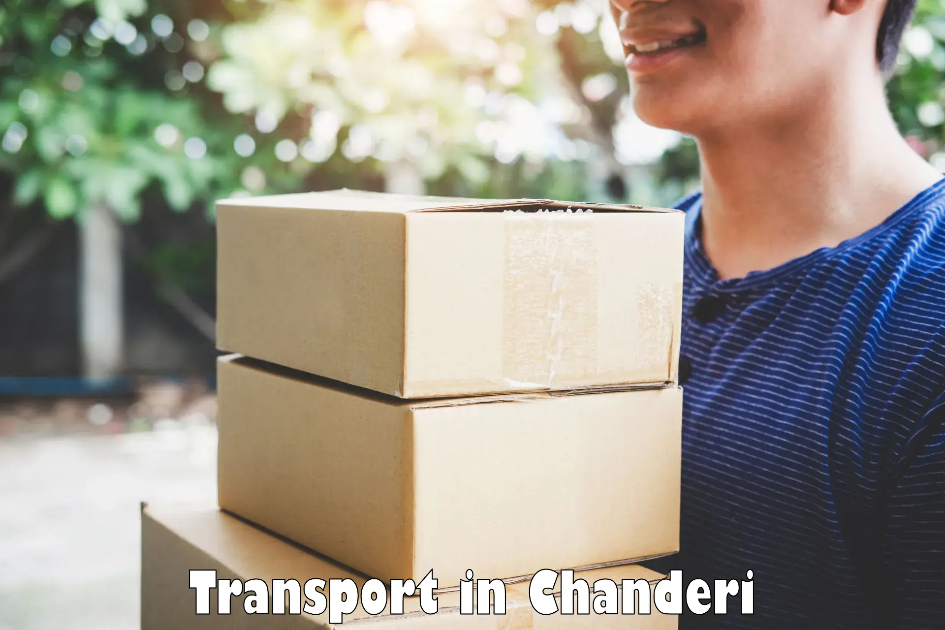 Air freight transport services in Chanderi