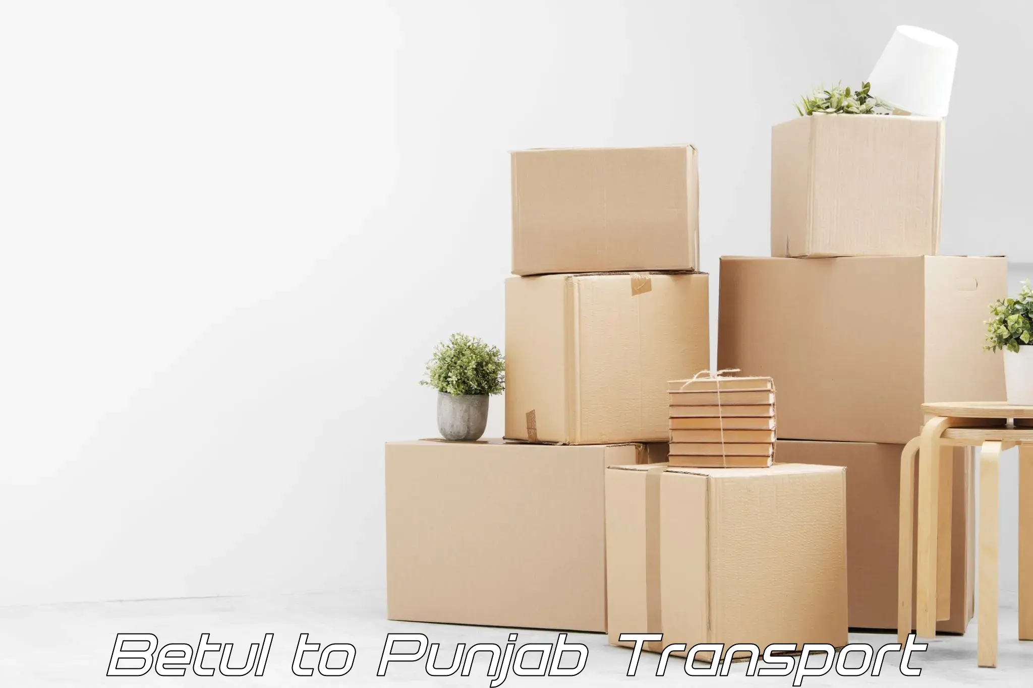 Transportation solution services in Betul to Ludhiana