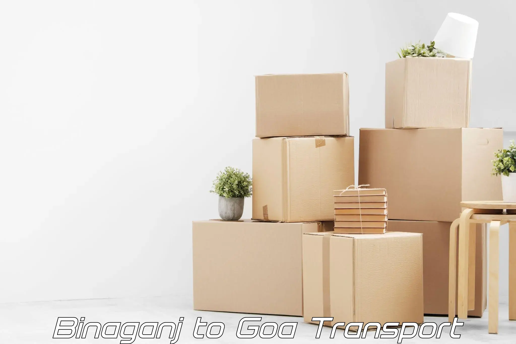 Air freight transport services Binaganj to Goa