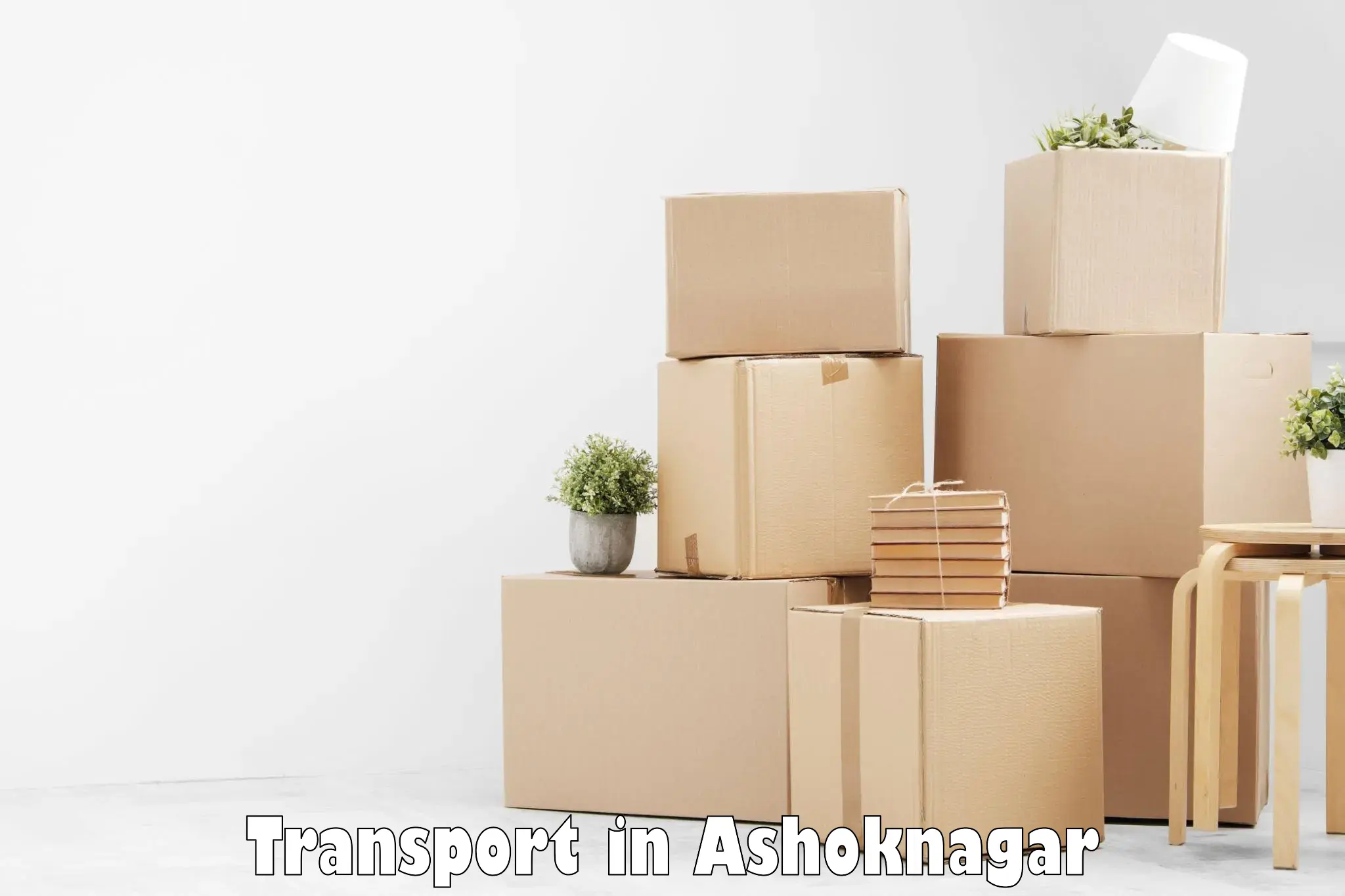 Package delivery services in Ashoknagar
