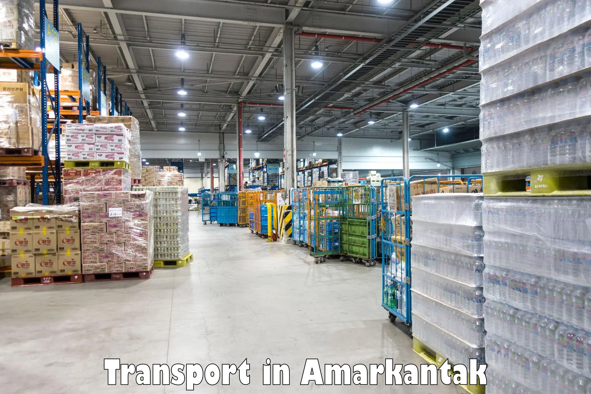 Road transport services in Amarkantak