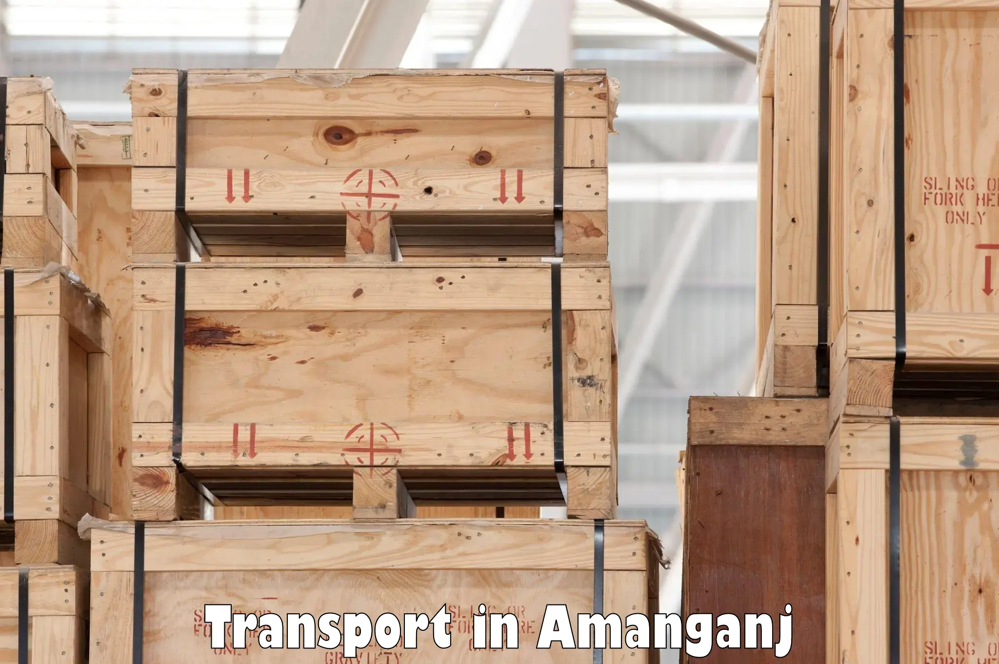 International cargo transportation services in Amanganj