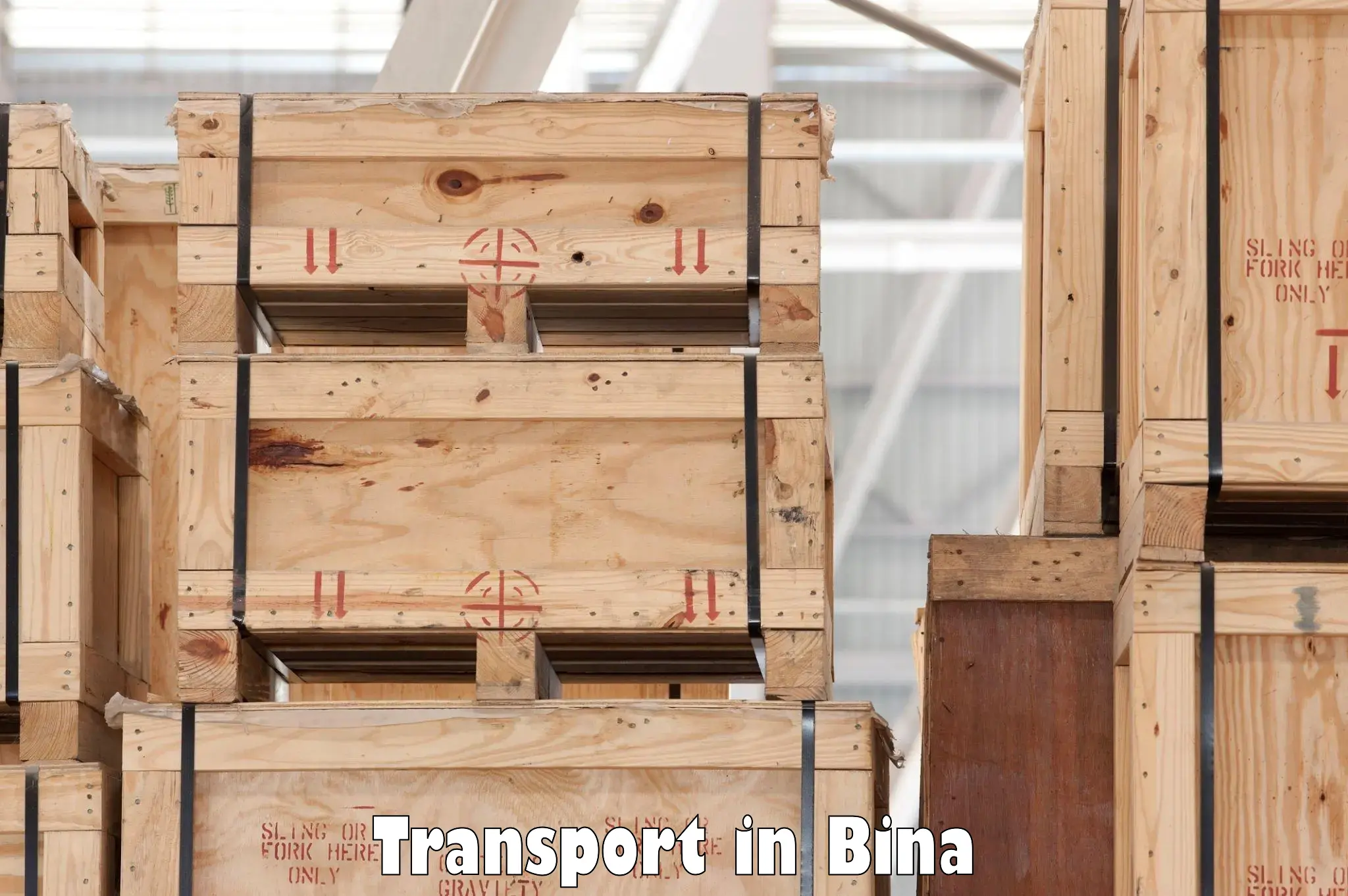 Container transport service in Bina