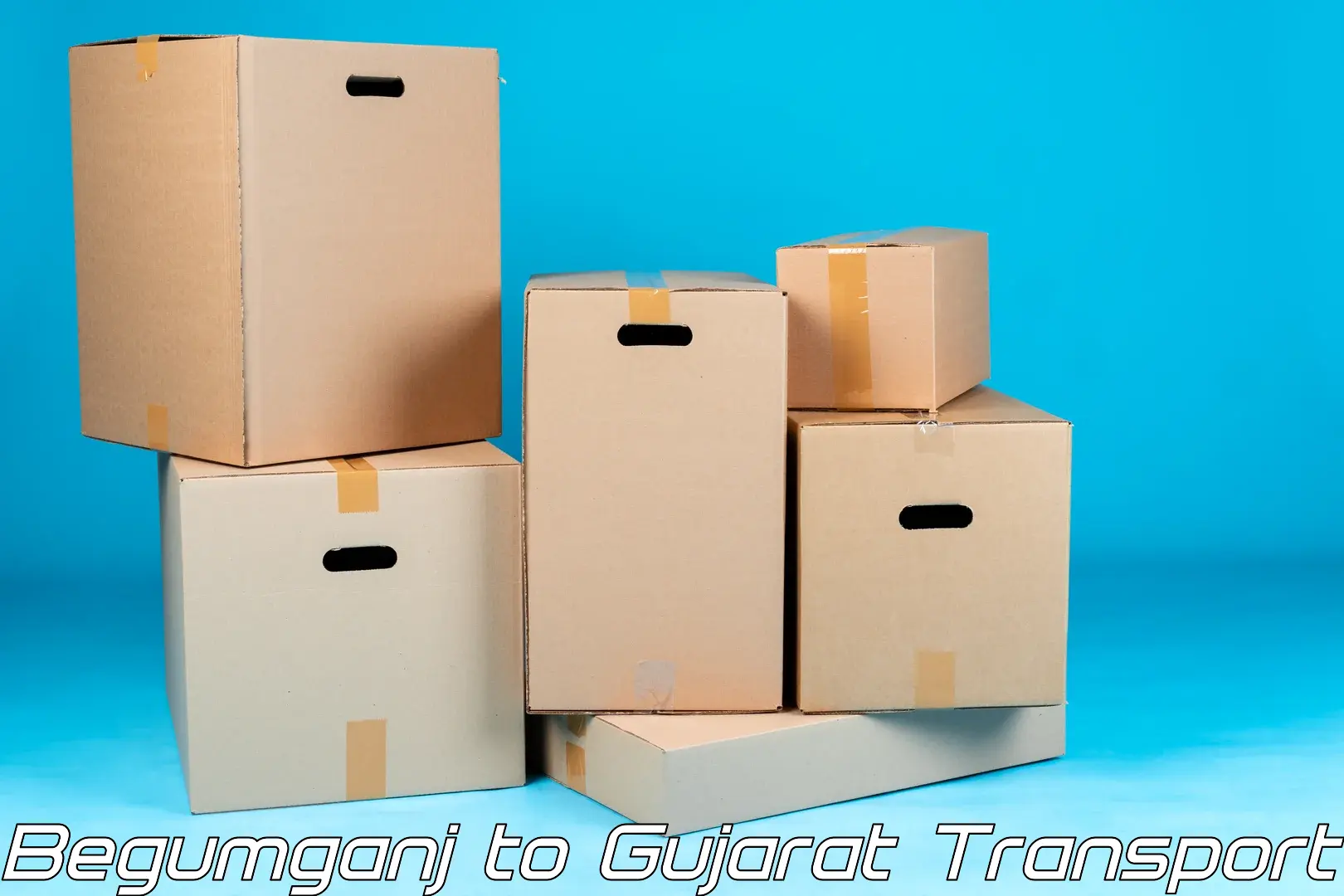 Luggage transport services Begumganj to Gujarat