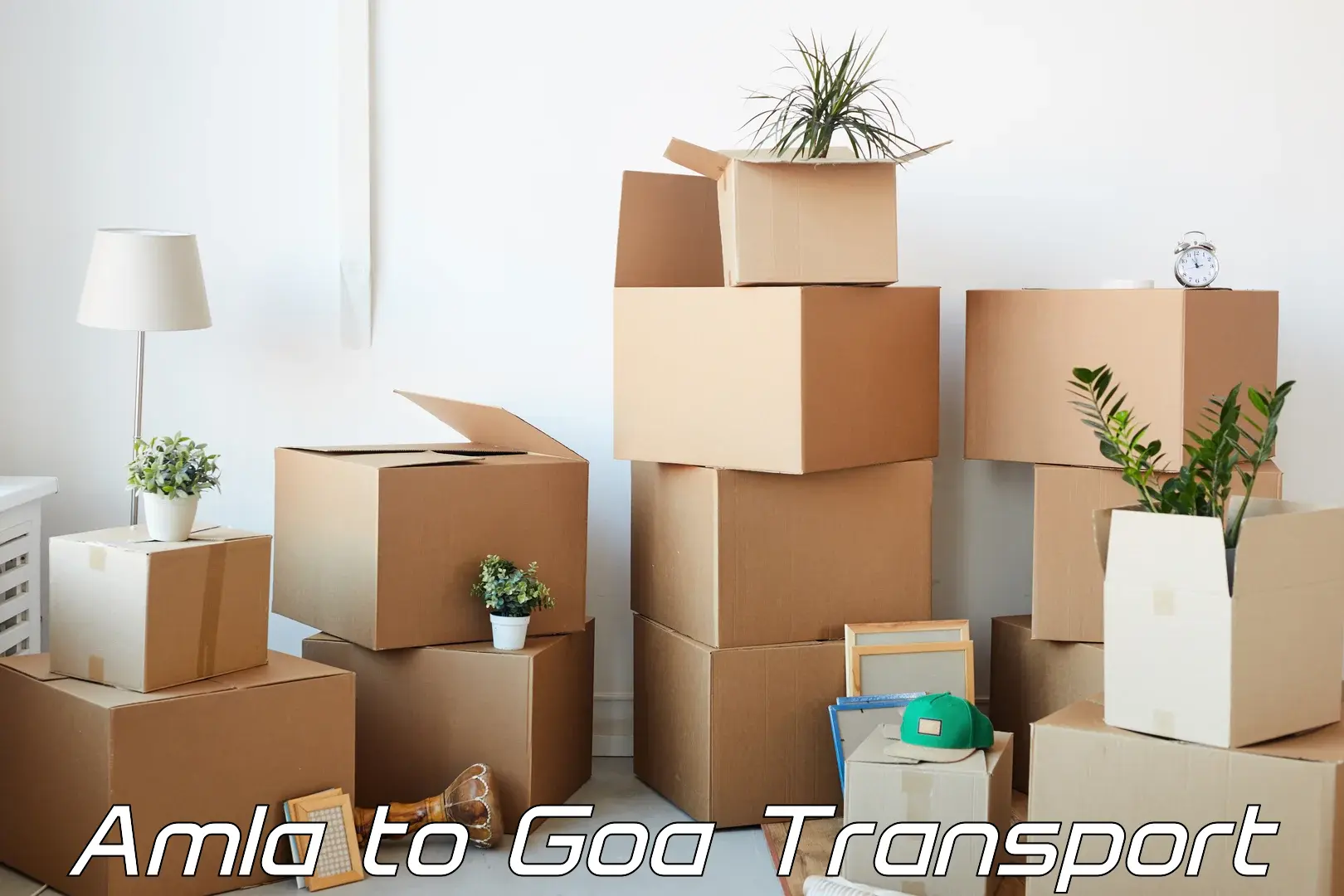 Interstate transport services Amla to South Goa