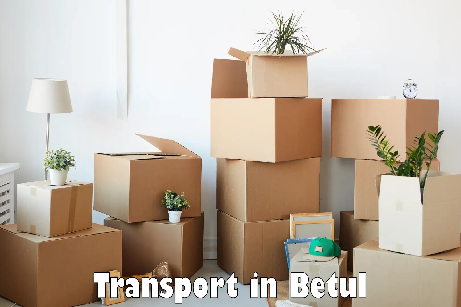 Land transport services in Betul