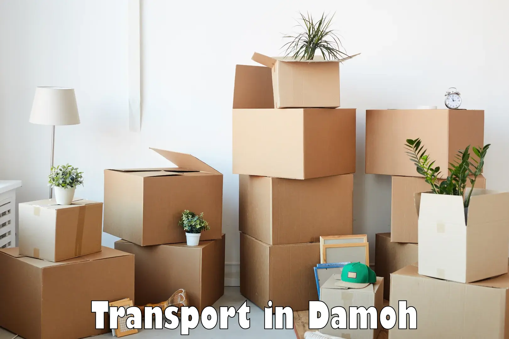 Cargo transport services in Damoh